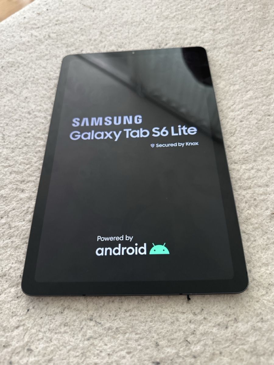 Samsung Tablet PC: Samsung Galaxy S6 lite (SM-P610) tab – Usato da Kirchleerau venduto da Rvgc86 2