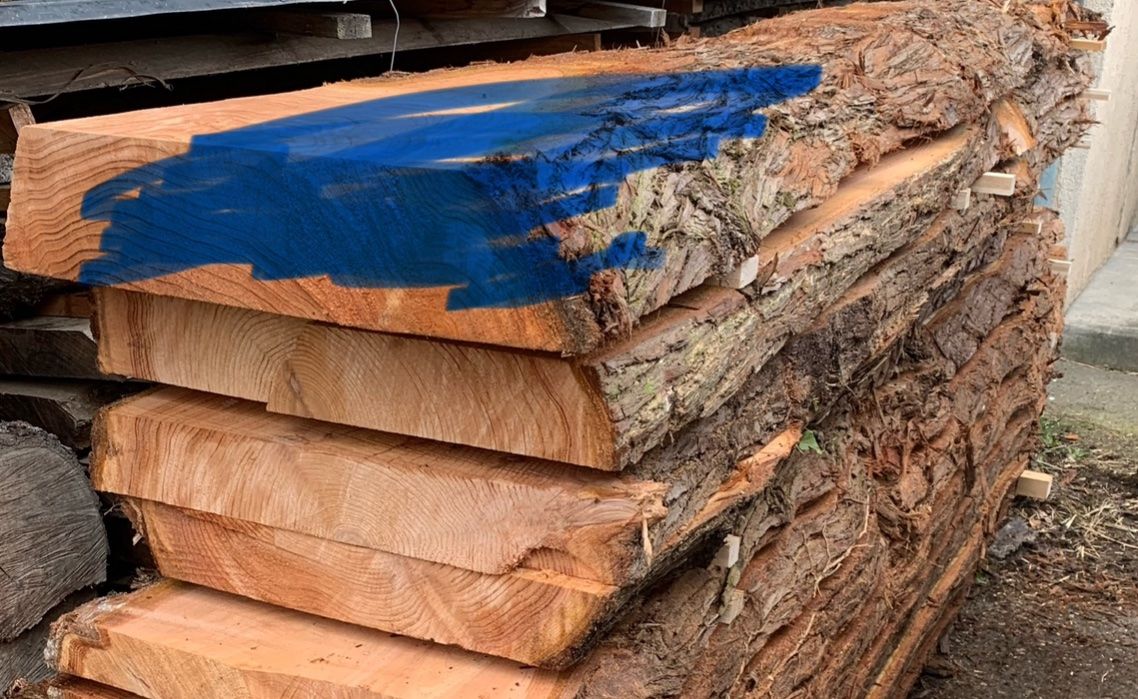 Bretter Thuja (Neu (gemss Beschreibung)) in Holziken fr CHF 55  nur  Abholung auf Ricardo kaufen