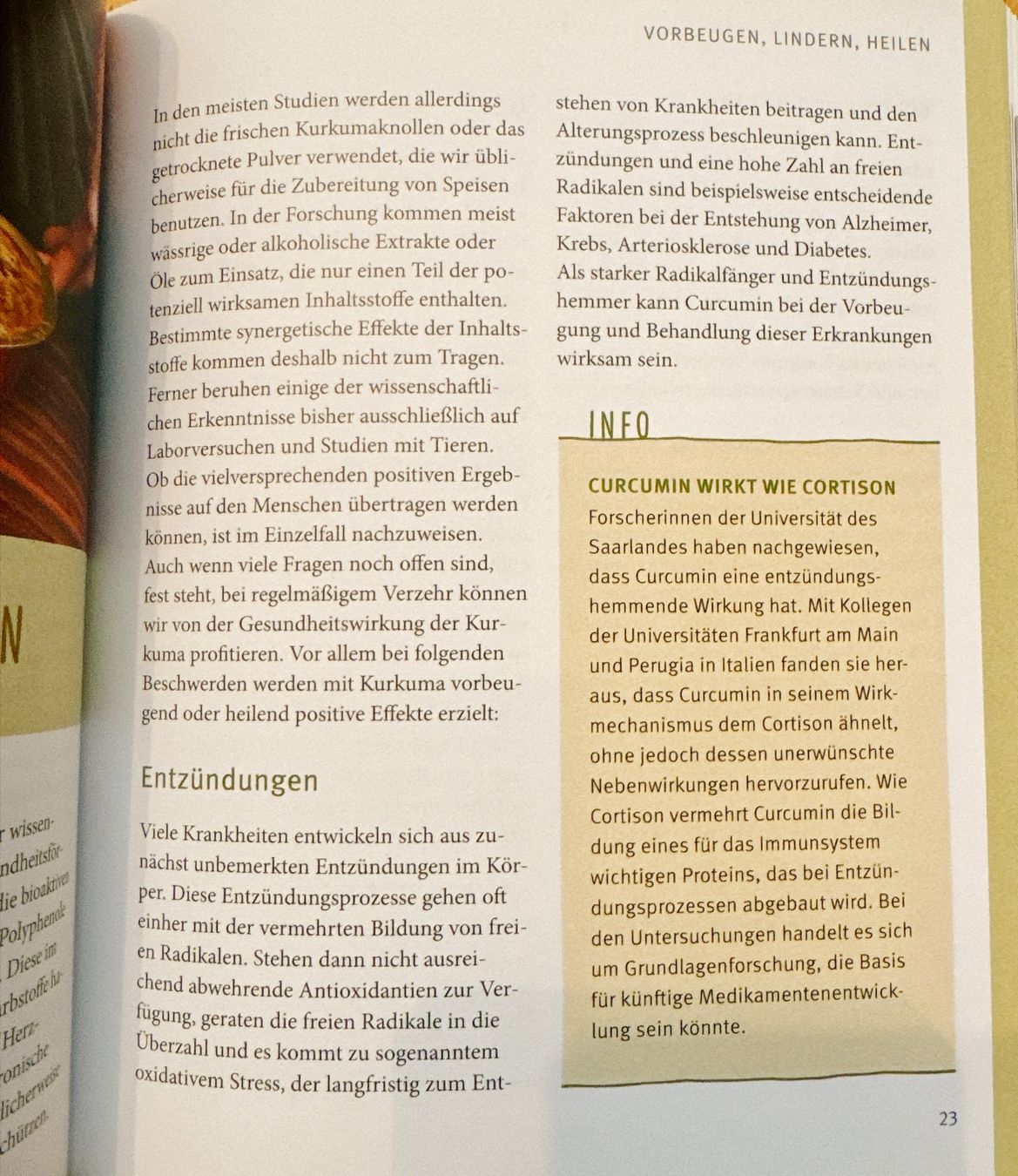 Libri: Kochbuch/Ratgeber Kurkuma – Usato da Muttenz venduto da denise06 5