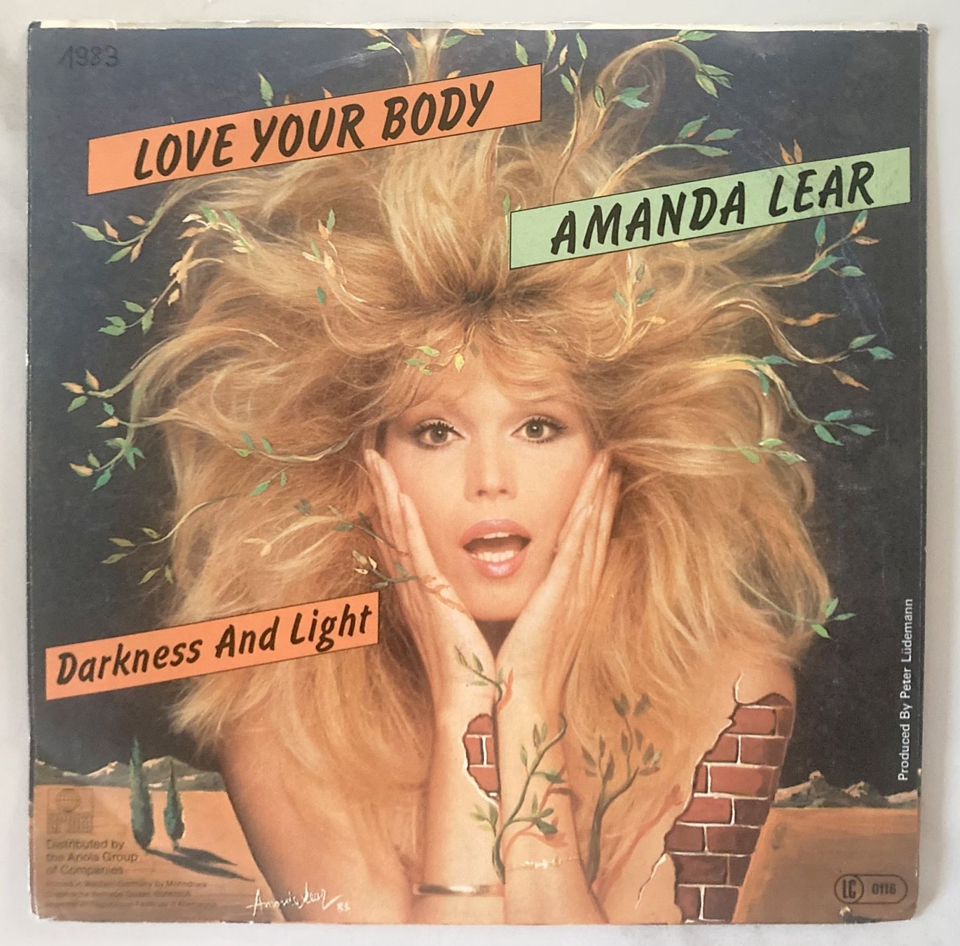 Dischi in vinile: AMANDA LEAR - LOVE YOUR BODY – Usato da Bottens venduto da hotter-than-hell 1