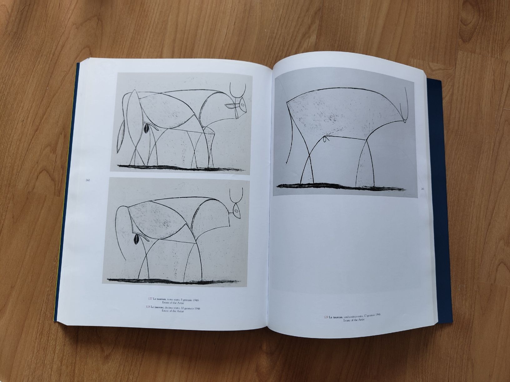 Libri: Catalogo Pablo Picasso – Usato da Biasca venduto da val_camo93 2