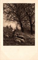 Schafe auf der Weide (D. Mischol, Schiers)
