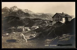 AK Grosse Scheidegg, Schwarzhorn, Gemsberg, Ortsansicht