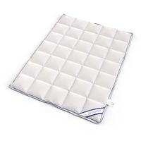 4-Jahreszeiten Entendaunen Duvet 200x210cm 600g+720g