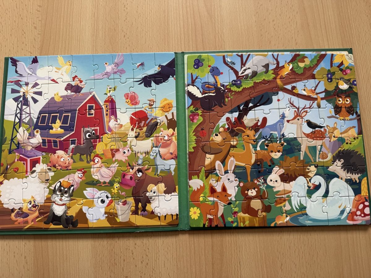 Spiele: QUOKKA magnetische Puzzle – Gebraucht aus Lustmühle von lau_c8jt 1