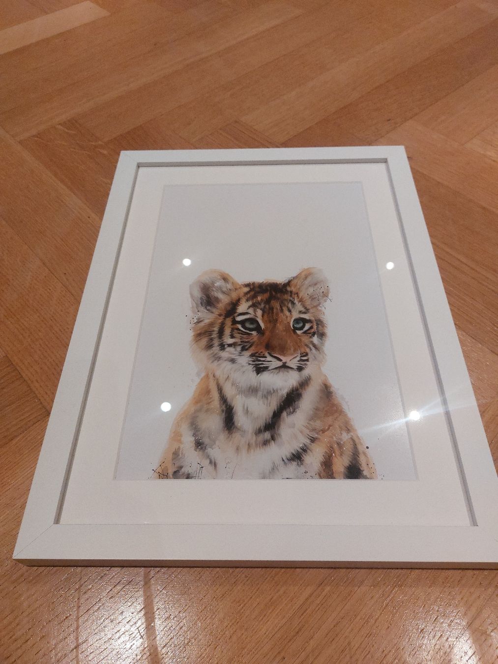 Foto & Immagini: 4x Cute Animal Pictures, incl. white frames – Usato da Zürich venduto da Lolaad 4