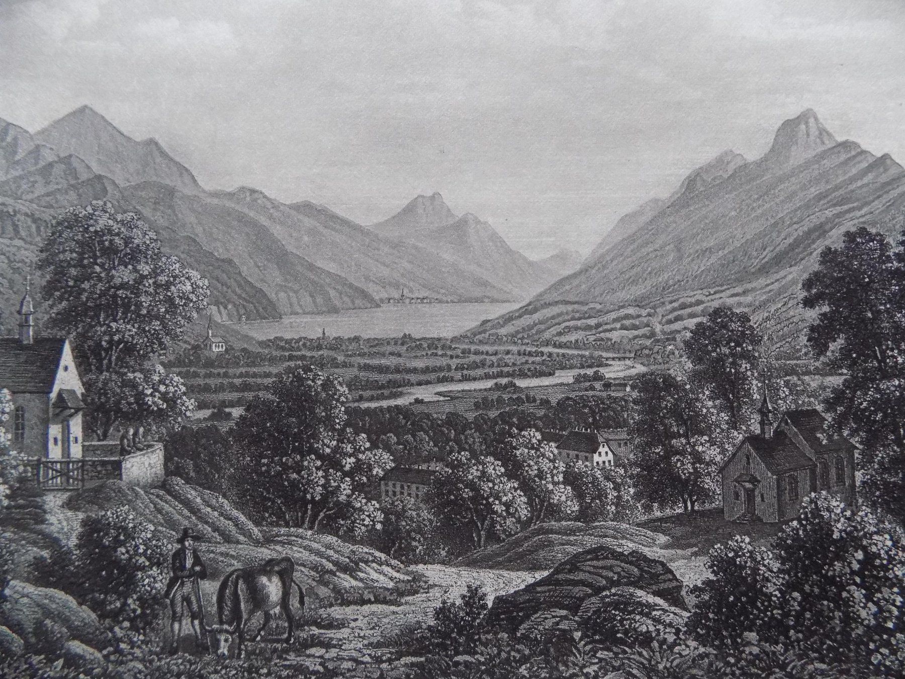 Incisioni: Environs de Schwyz – Usato da Risch venduto da Rischli15 1