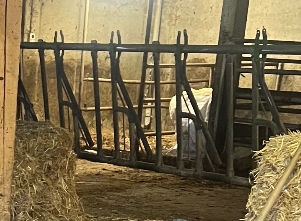 Altro in Accessori per animali: Fressgitter – Usato da Duvin venduto da MrAndiy 2
