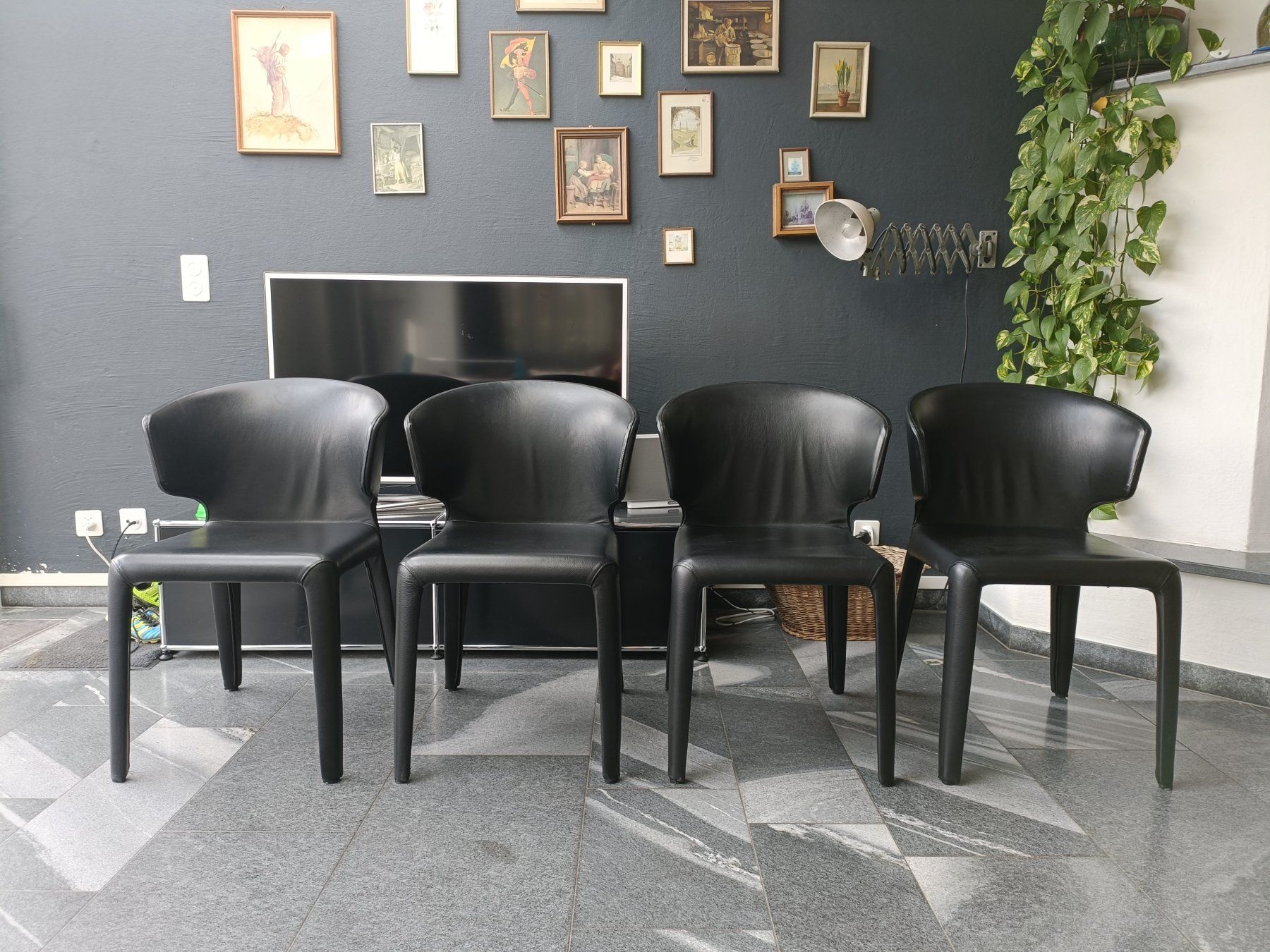 Cassina Sedie: Stühle Cassina Hola 367 / 4 Stück – Usato da Schmitten FR venduto da oldtimer82