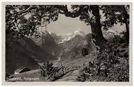 Braunwald, Tödigruppe, gelaufen 1937