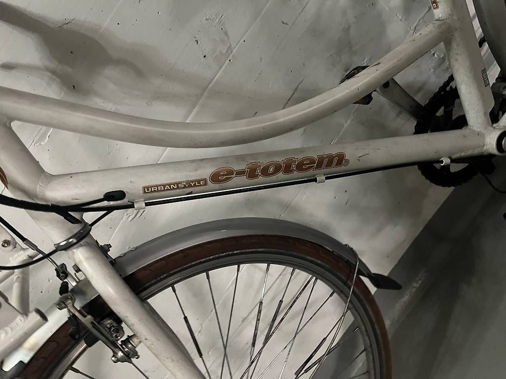 Velos: City ebike – Gebraucht aus Zürich von VeronikaMorach 2