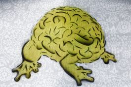 KAZOTO SHINTO (Japan, *1960) Künstlerhirn / Artist Brain