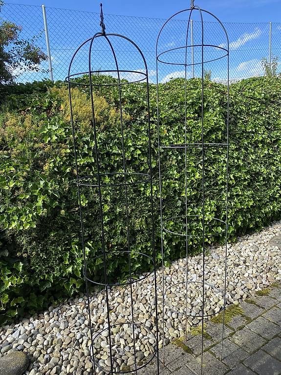 Altre Decorazioni per giardino: Rankhilfe Obelisk 2 Stück – Usato da Gempenach venduto da Mittelpudel 1