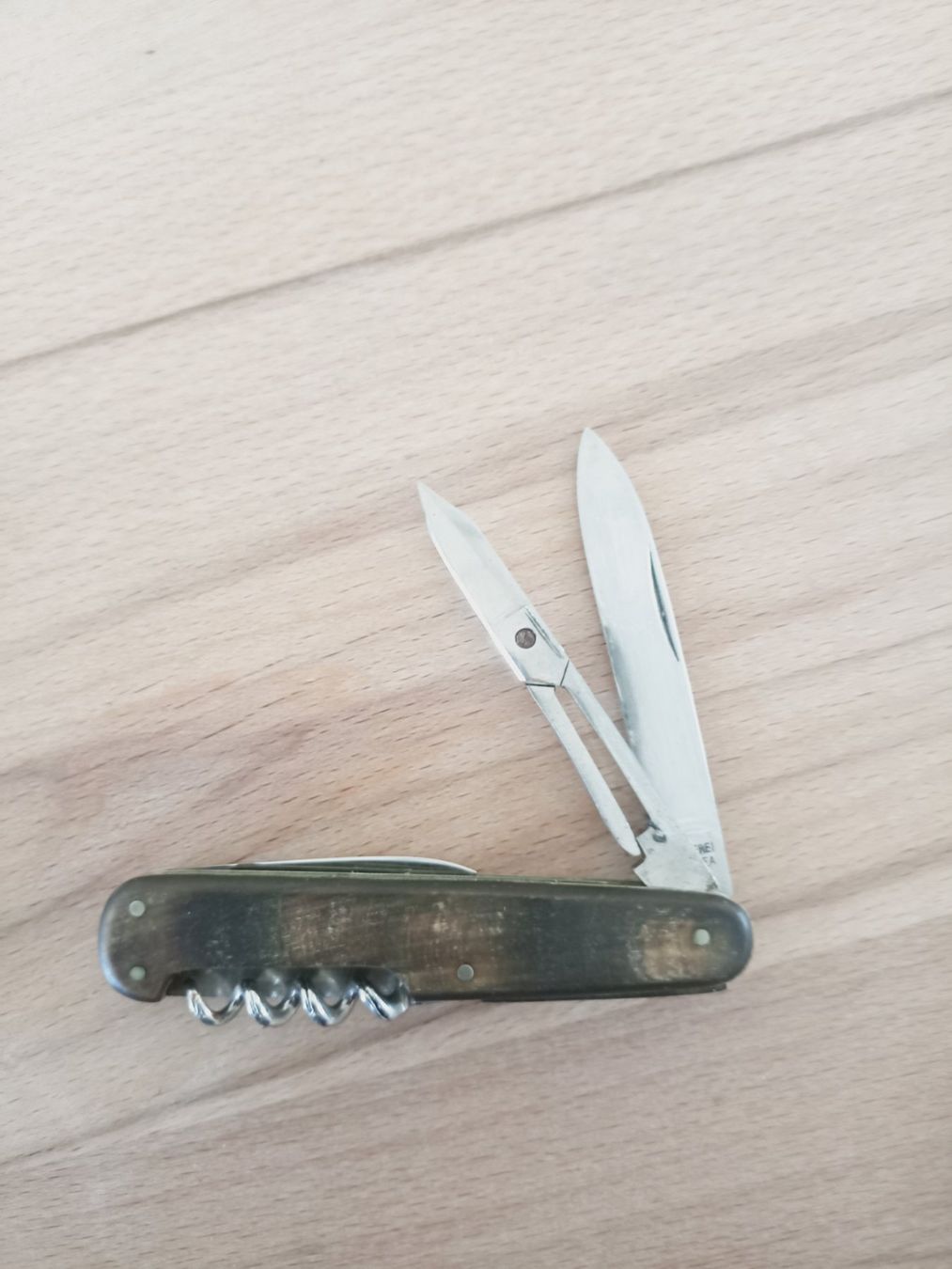 Coltelli tascabile: Seltenes Sackmesser "PROTEA" mit Horngriffe genietet. – Usato da Tuebach venduto da bac_7kpb 2