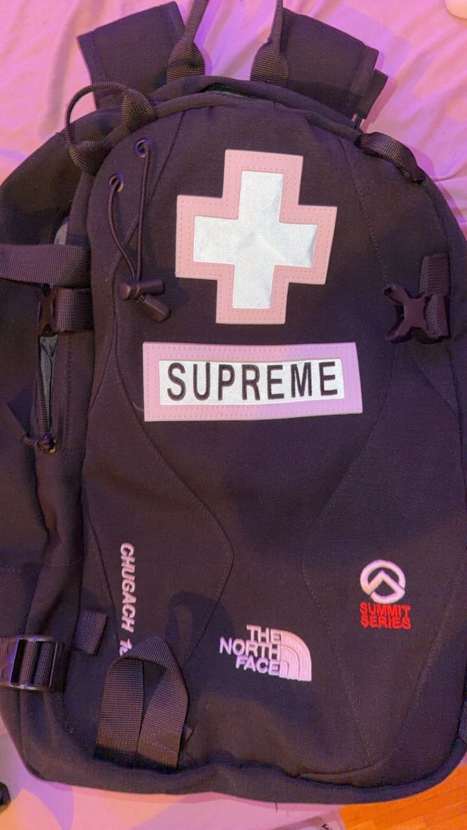Supreme Sacs à dos: Sac à dos Supreme X North Face – Neuf (Voir description) à Bulle par Laetitia84