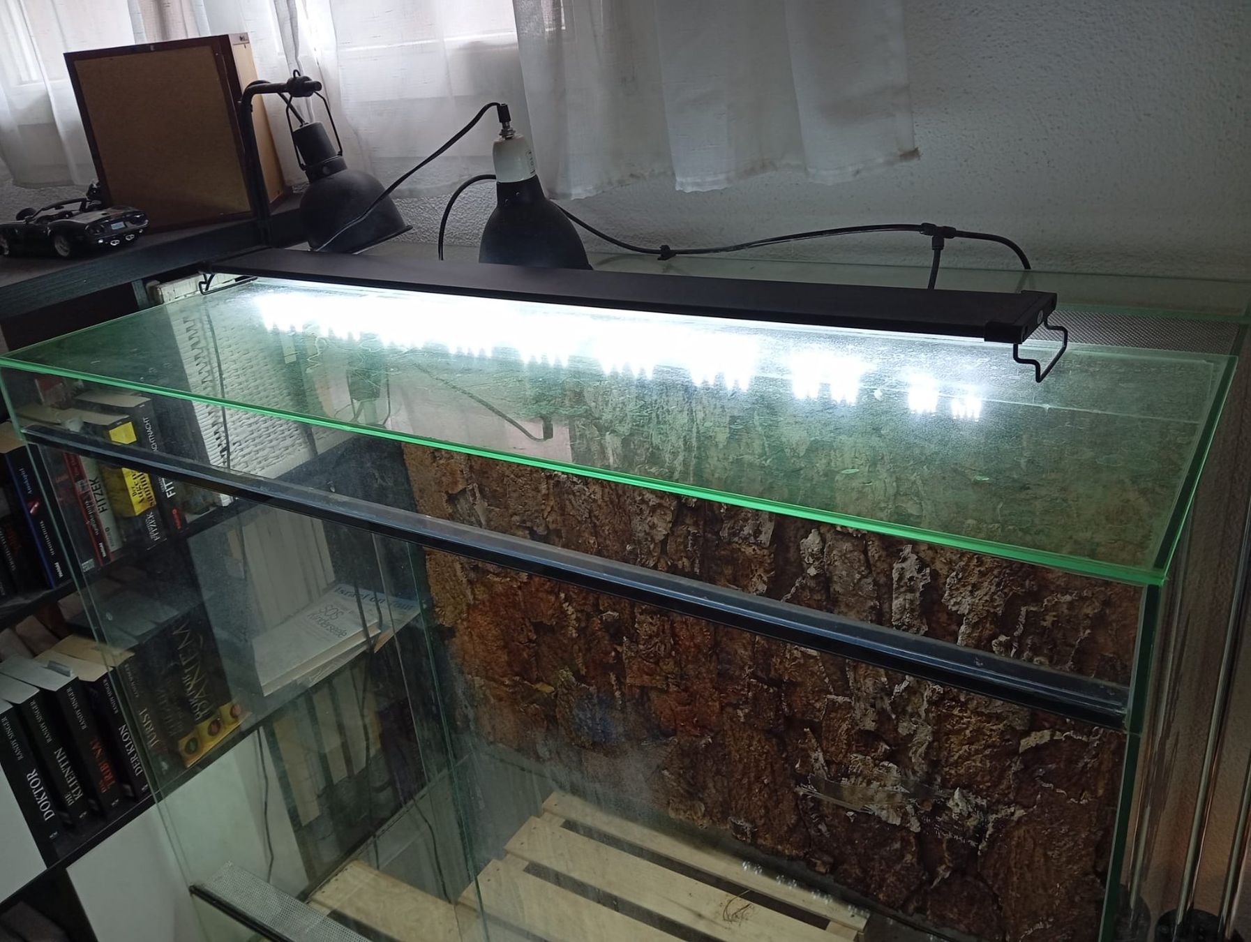 Terrario: Terrarium 120cm x 100cm x 60cm – Usato da Wildberg venduto da Stargate94 1