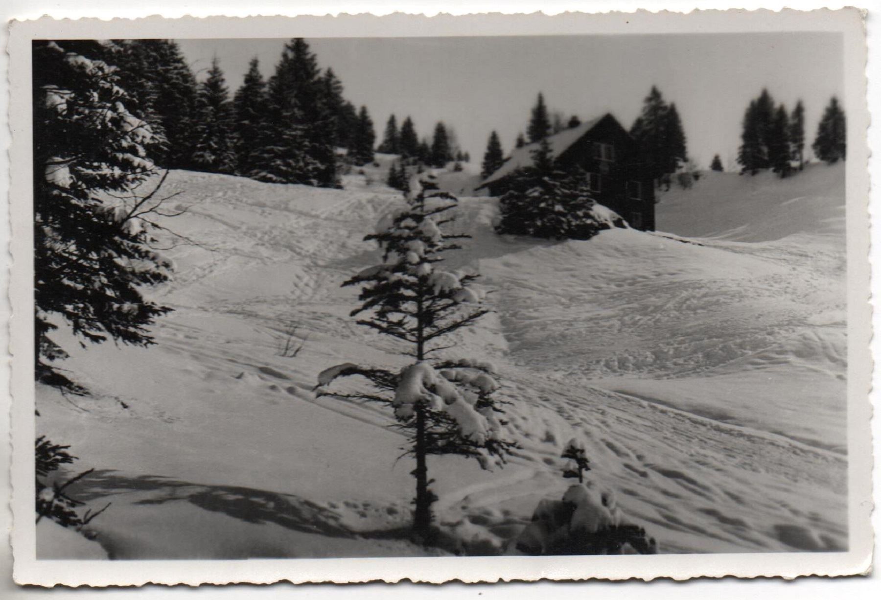 Cartes postales: YBERGEREGG Schienberghütte im Eigen – D'occasion à Jona par philajona