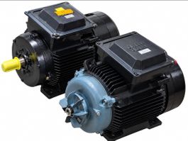 Elektromotoren 2 Stück Set schwarz blau gebraucht ABB 22kw