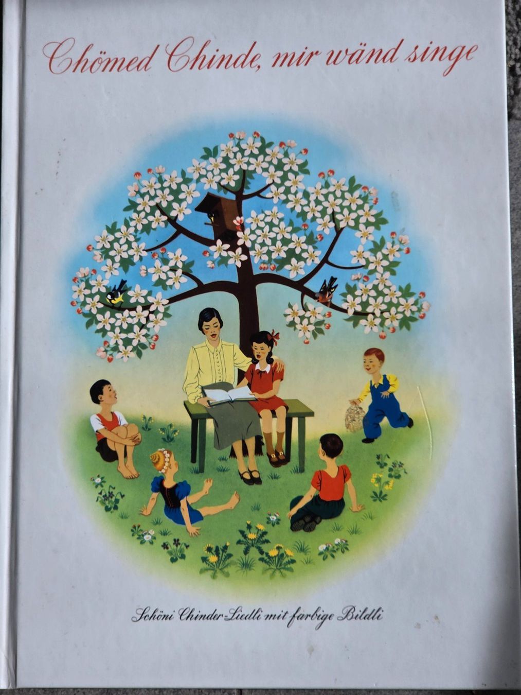 Livres: Chömed Chinde, mir wänd singe – D'occasion à Münsingen par Sokilein