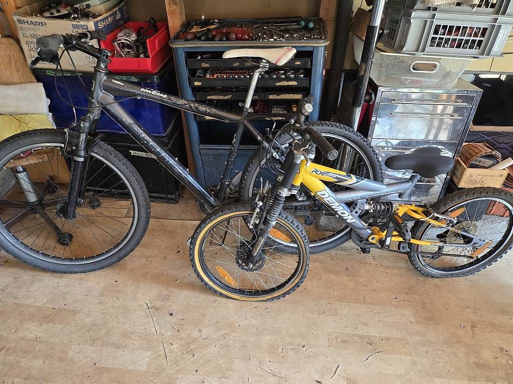 Biciclette: MTB Scott Contessa+Kinderfully – Usato da Biel/Bienne venduto da Rouf7