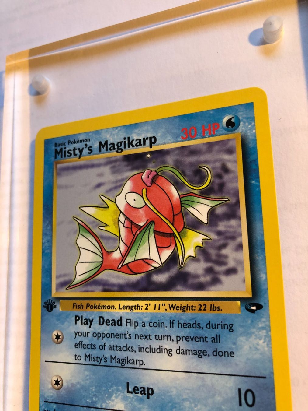 Sammelbilder & Trading cards: Misty's Magikarp 1st Gym Challenge - MINT - ab 1.- – Gebraucht aus Giubiasco von dan_pr8b 3