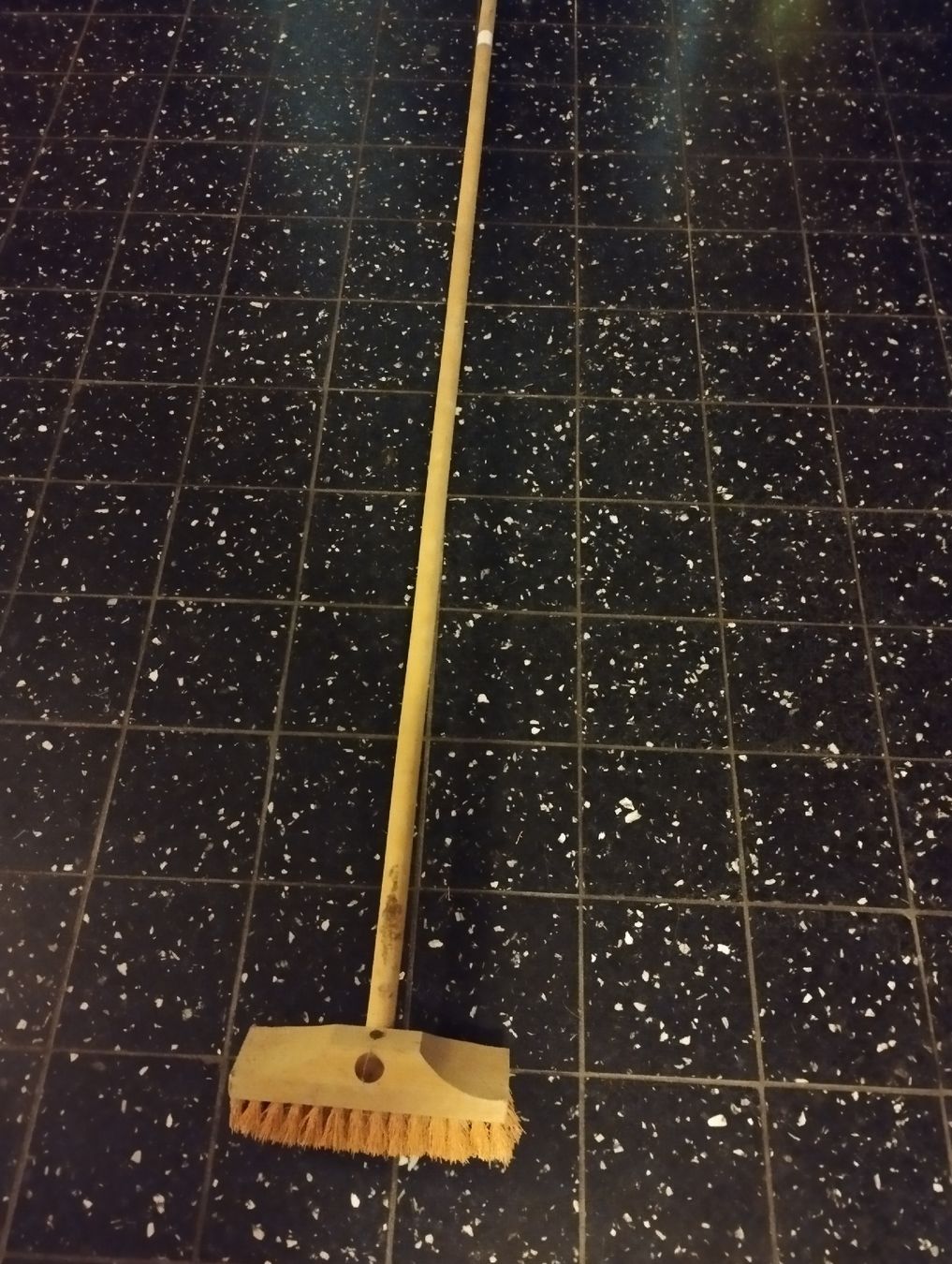 Altro per la casa: Bürste, Naturbürste, mit Stab – Nuovo (secondo la descrizione) da Ostermundigen venduto da Dinge1 2