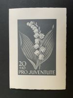 Juventute