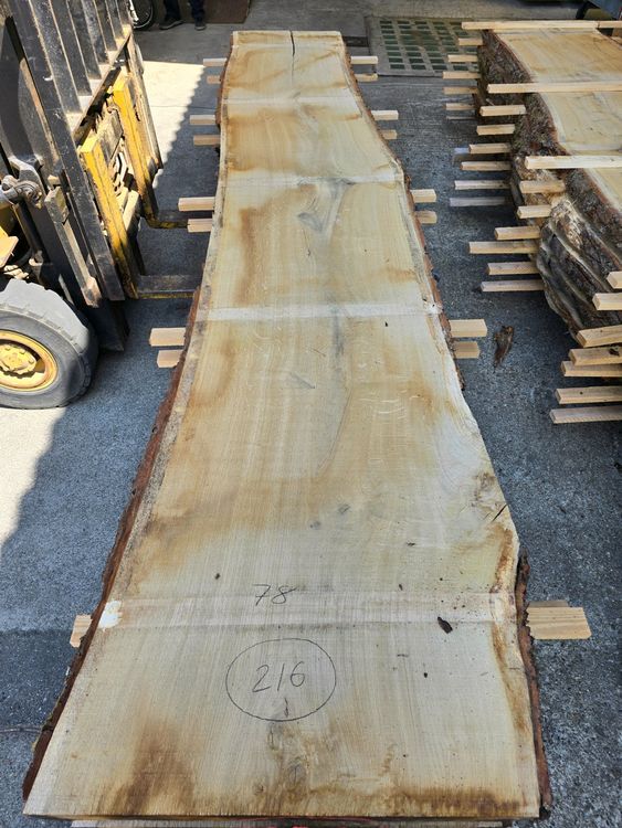 Articoli in legno: Eichenbrett Nr. 216 – Nuovo (secondo la descrizione) da Lützelflüh-Goldb venduto da ch.waelchli-holz.ch