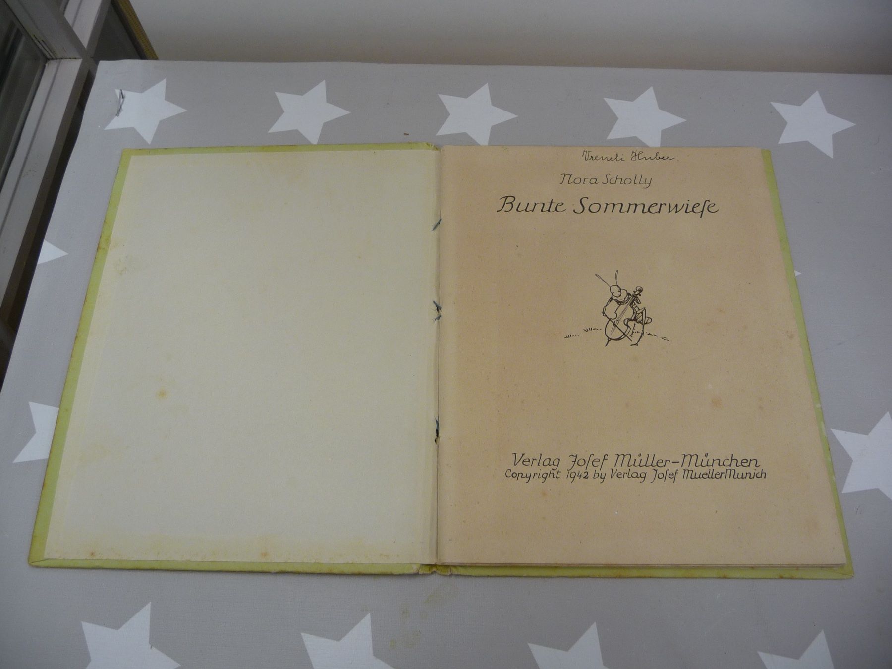 Libri: Buch: Bunte Sommerwiese Nora Scholly – Usato da Rafz venduto da Powacaddy 2