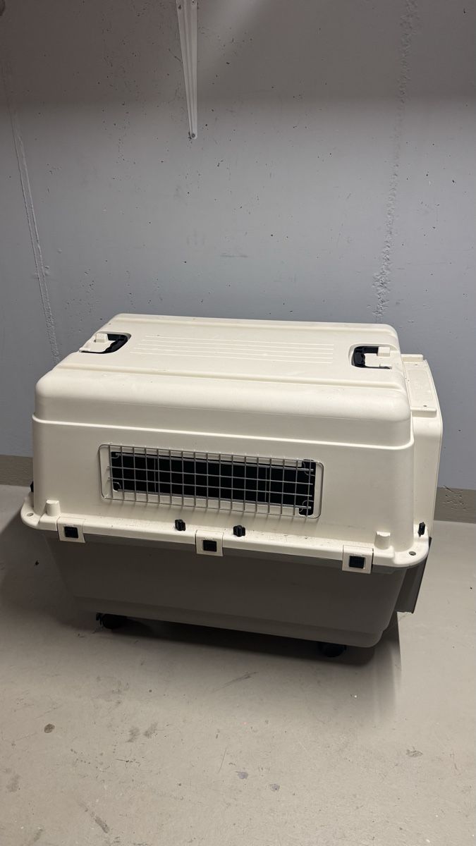 Cucce & Letti: Praktische Hundebox – Usato da Weiningen ZH venduto da proi4o 2