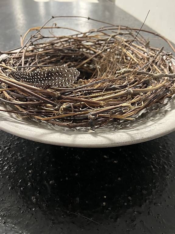 Alle Dekorationen: Deko Teller mit Nest – Gebraucht aus Sursee von gas_29n8 2