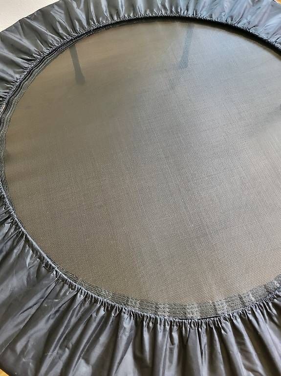 Trampoline: Trampolin – Gebraucht aus Stalden (Sarnen) von Wolfs_Feder 4