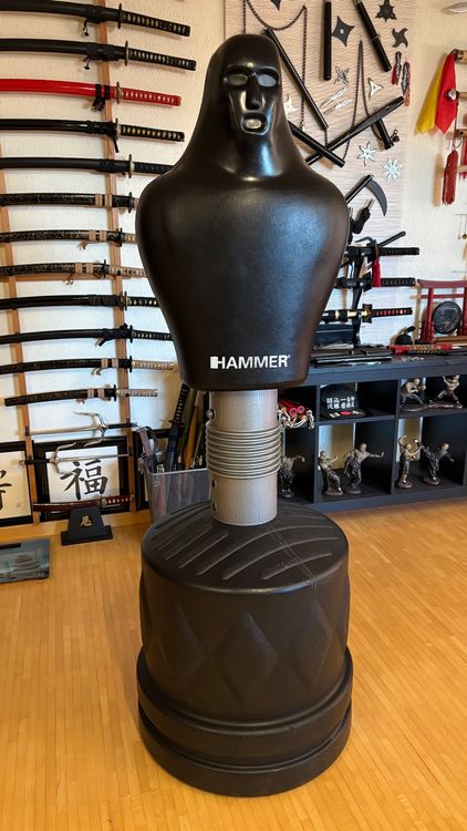 Box Dummy (Neu (gemäss Beschreibung)) in Wahlen b. Laufen für CHF 300 ...
