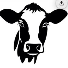 Profile image of stockerjoel