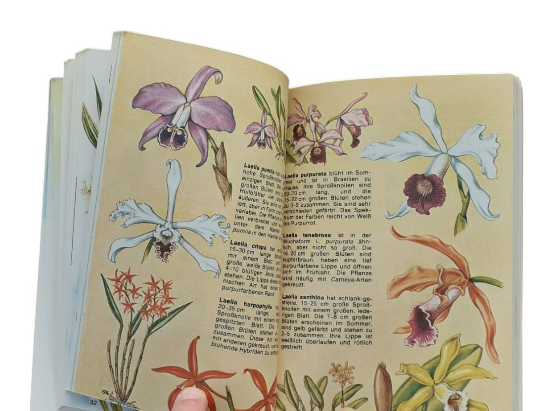 Libri: Orchideen. Wildwachsende Arten aus aller Welt – Usato da Mörschwil venduto da lindaswunderkiste 6