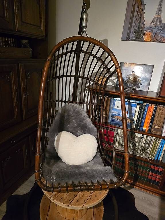 Poltrone pensili da giardino: Fauteuil suspendu d'intérieur  – Usato da Billens venduto da nad_rw9f 1
