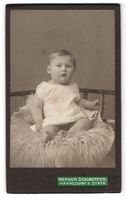 Fotografie Werner Schäfer, Männedorf, 