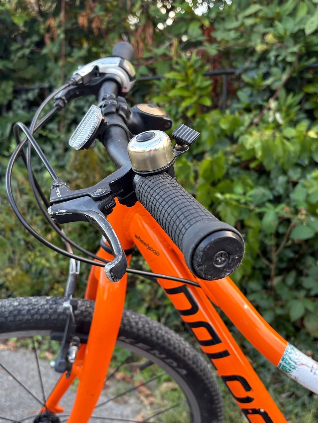Naloo Velos: Naloo Chameleon MK2 24“ – Gebraucht aus Zürich von Gabriela_Zuerich 2