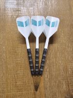 Target Rob Cross 95k Darts 25g OVP wie Neu