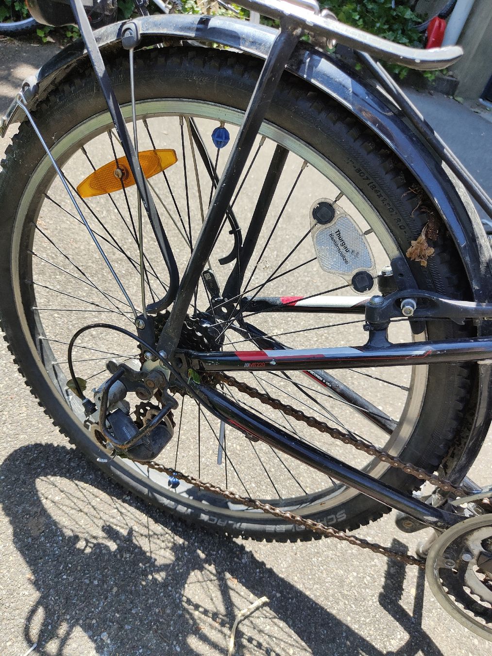 Trek Biciclette: Trek Kinderfahrrad 24 Zoll – Usato da Scherzingen venduto da Gartenblume1 2