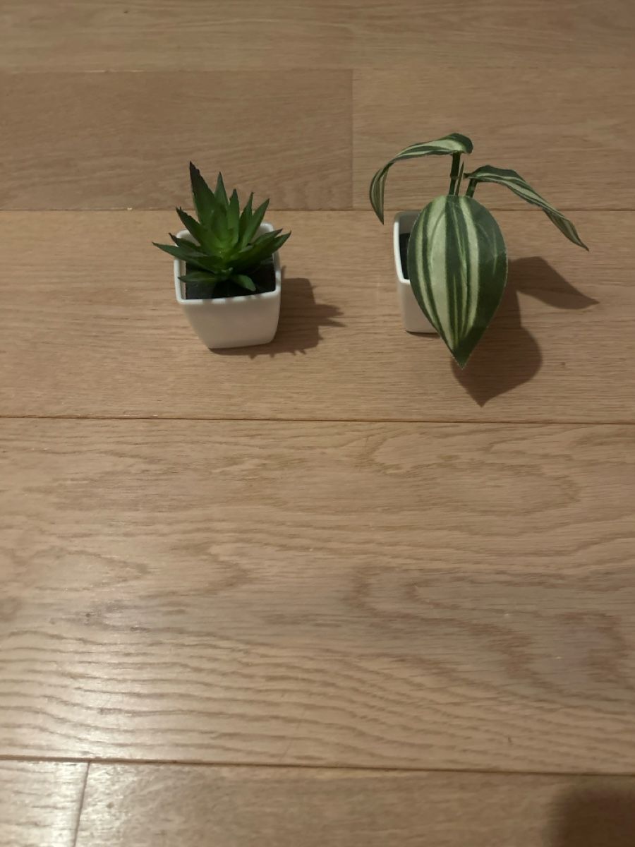Ikea Alle Dekorationen: Pflanzen Dekoration  – Neu (gemäss Beschreibung) aus Samstagern von mini22