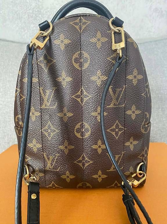 Zaini: Louis Vuitton Palm Springs Mini Backpack – Usato da Frauenfeld venduto da pau_77qk 4