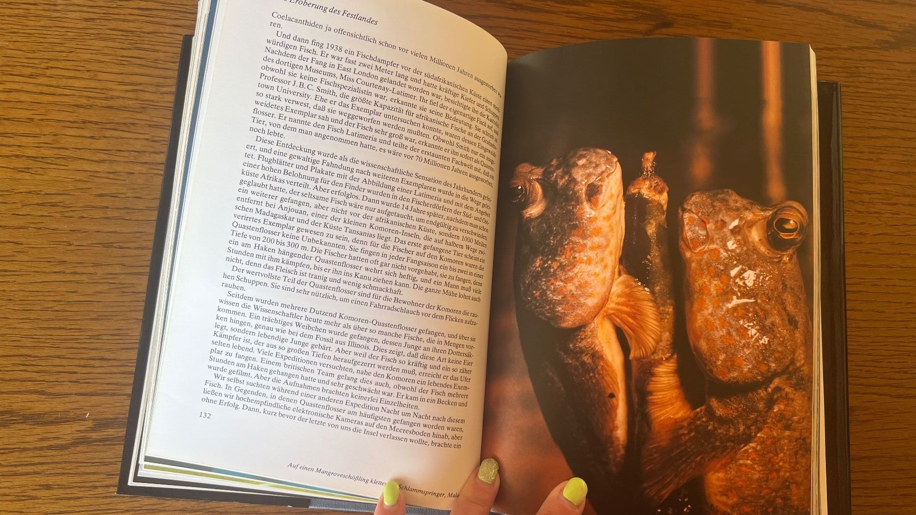Bücher: David Attenborough: Das Leben auf unserer Erde -1979 – Gebraucht aus Schübelbach von Dolly990_2 5