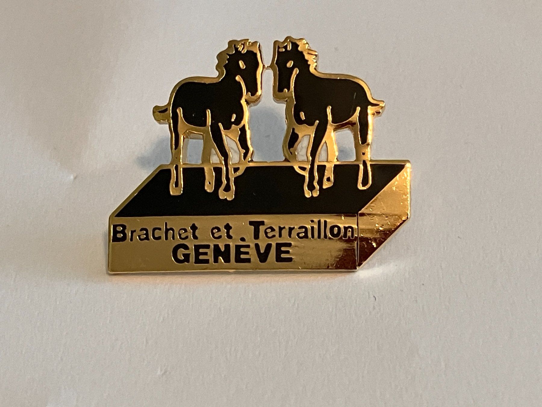 Placchette & Badge: 1 Pin Brachet et Terraillon Geneve – Usato da Basel venduto da djwwpp