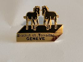 1 Pin Brachet et Terraillon Geneve