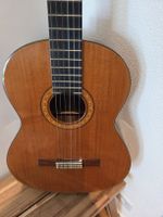 Klassische Konzertgitarre (Aria a-556)