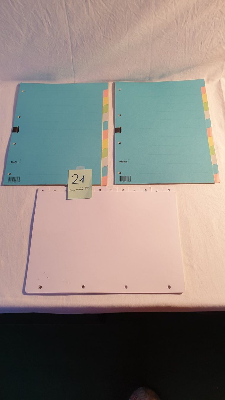 Raccoglitori: Register Karton 12er / 3er Set – Nuovo (secondo la descrizione) da Biel/Bienne venduto da bormida42