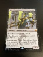 Risen Executioner