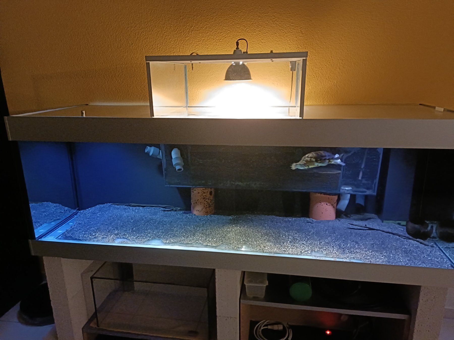 Acquari: Fessler Aquarium 650l, Inkl. Filter und Daytime LED-Light – Usato da Obernau venduto da pilatus-rconline 1
