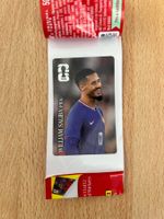Panini Coca Cola
